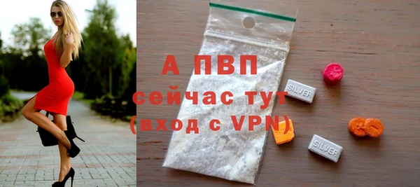 дмт Переславль-Залесский