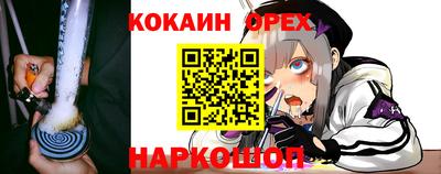 эйфоретик Кингисепп