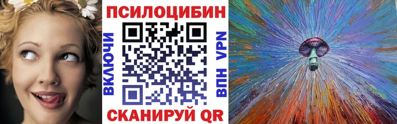 Галлюциногенные грибы Psilocybe  Холмск 